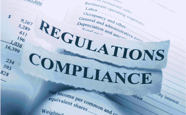 DNFBP Regulations: Identifying Red Flags Behaviours for DPMS